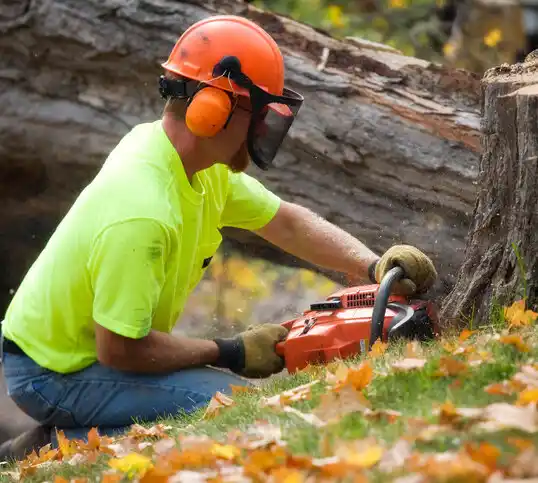 tree services Mulliken